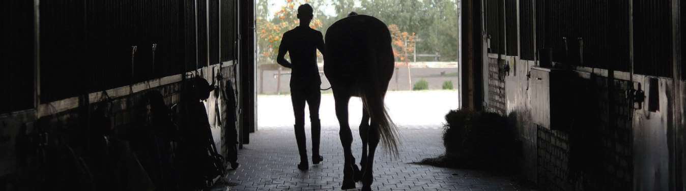Horse and man leaving stable